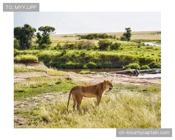 校园手球在非洲:肯尼亚试点项目用运动激励女童就学